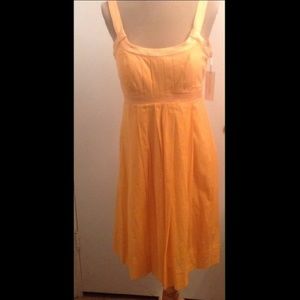 NWT Calvin Klein Casual Dress